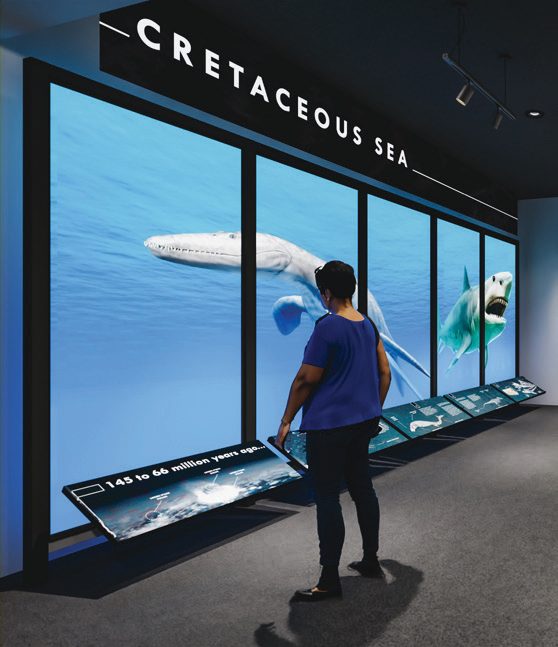 6 The Helen Marie Taylor Museum - Museum Reimagined Cretaceous Sea Exhibit